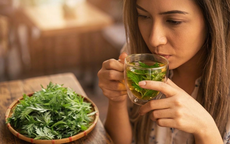 5 nhóm người nên uống nước lá ngải cứu