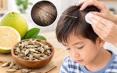 Các bài thuốc dân gian từ hạt bưởi