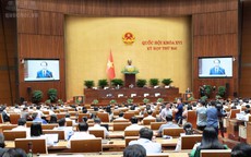 Đề xuất siết điều kiện nhận con nuôi, ngăn chặn tình trạng môi giới trục lợi