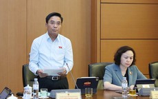 Mọi hành vi môi giới nhận con nuôi trái pháp luật đều phải bị nghiêm cấm