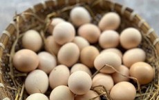5 thực phẩm giảm ê buốt răng cho người sau tuổi 70