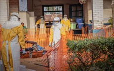 Dịch Ebola: Nigeria ghi nhận ca bệnh đầu tiên