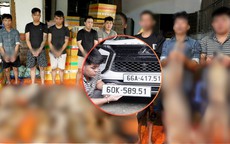 Dân liên tục báo mất chó, công an lần ra đường dây tiêu thụ hơn 10 tấn thịt