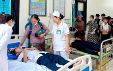 Hàng chục học sinh nhập viện sau khi bị ong đốt