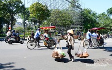 Biến đổi khí hậu làm nhiệt tăng, dịch bệnh cũng có thể phức tạp hơn