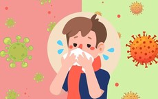 Nhận diện các loại cúm mùa thường gặp ở người