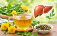 7 lợi ích tiềm năng của trà bồ công anh đối với sức khỏe