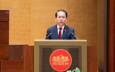 Đề xuất giao UBND cấp tỉnh quyết định chuyển nhượng dự án bất động sản
