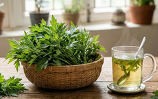 6 nhóm người không nên uống nước lá ngải cứu