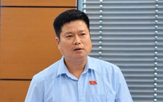 ĐBQH ủng hộ đánh thuế 0,2% đất bỏ hoang, tránh đầu cơ, găm giữ