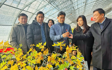 Đoàn công tác Bộ Y tế khảo sát mô hình phát triển dược liệu tại Trung Quốc, thúc đẩy hợp tác đầu tư, nghiên cứu và chuyển giao công nghệ