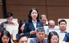 ĐBQH hiến kế chặn lừa đảo qua mạng từ khâu chuẩn bị