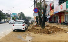 Truy tố ông chủ Công ty Cây xanh Công Minh hưởng lợi  hơn 264 tỉ đồng