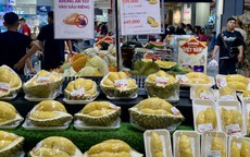 Sầu riêng của Việt Nam có gì đặc biệt mà được thị trường quốc tế liên tiếp đặt hàng?