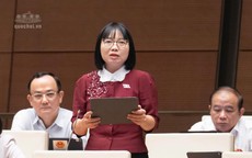 ĐBQH: Không chỉ có nơi ở mới, người dân cần bảo đảm sinh kế