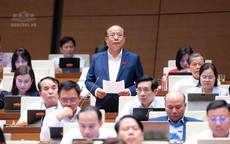 ĐBQH ủng hộ ngưỡng doanh thu 10 tỷ đồng/năm áp dụng tính thuế đơn giản