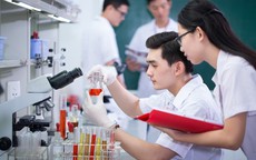 Đề xuất nhân tài được lựa chọn cộng sự, quyết định mức lương thưởng