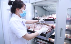 Nâng cao chất lượng, bảo đảm an toàn truyền máu tại Nghệ An