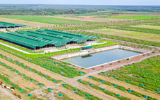 Thaco Agri bị xử lý vi phạm chứng khoán