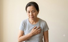 Mãn kinh có làm tăng nguy cơ mắc bệnh tim mạch ở phụ nữ?