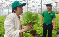 637 người ngộ độc thực phẩm trong 9 tháng, TPHCM siết kiểm soát từ nguồn cung