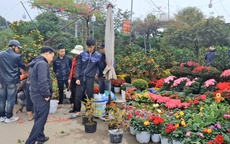 Phố phường rộn ràng không khí mua sắm Tết