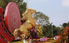 Ngựa vàng bứt phá giữa đường hoa Nghệ An