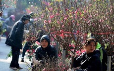 Miền Bắc tăng nhiệt, hửng nắng vào trưa chiều