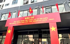 
Trưởng ban Tổ chức Trung ương Lê Minh Hưng ứng cử đại biểu Quốc hội tại Hải Phòng