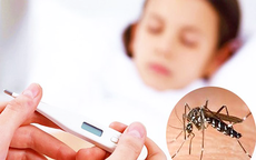 Tết Bính Ngọ, một số dịch bệnh tăng nhẹ ca mắc ngày mùng 3 Tết