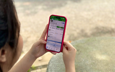 Làm gì để vui Tết an toàn, không lo lừa đảo?