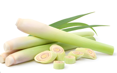 Củ sả chữa bệnh gì?