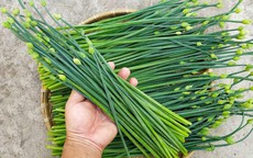 4 cách dùng rau hẹ chữa bệnh