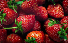 7 'siêu thực phẩm' mùa xuân tốt nhất cho sức khỏe