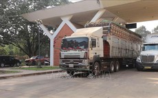 Bộ Công Thương ra công văn hướng dẫn việc kiểm tra an toàn thực phẩm nhập khẩu