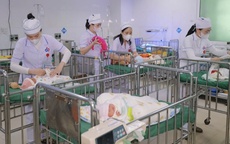 Lá chắn trắng giữa mùa Xuân