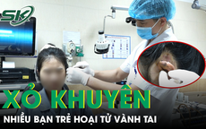 Xỏ khuyên, nhiều bạn trẻ nhập viện vì hoại tử vành tai 