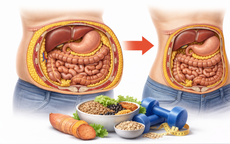 Giảm mỡ bụng: Vai trò của thực phẩm giàu chất xơ và carbohydrate