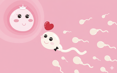 Có nên thụ thai ngay những ngày đầu năm? Góc nhìn chuyên gia