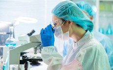 9 trường đại học y dược Việt Nam có nhiều công bố quốc tế nhất năm 2025