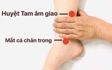 Xoa bóp bấm huyệt giúp giảm mệt mỏi sau Tết
