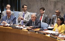 HĐBA LHQ nhóm họp khẩn cấp về vụ Mỹ tấn công Iran