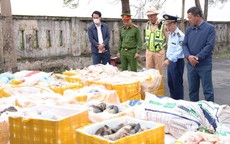 Chặn xe tải chở hơn 2,6 tấn nội tạng, xương động vật không rõ nguồn gốc