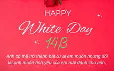Lời chúc ngày Valentine 14/3 - Valentine trắng tặng người yêu ngọt ngào
