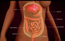 Ung thư phúc mạc phức tạp gia tăng, các chuyên gia hội tụ ở Singapore chia sẻ kinh nghiệm chẩn đoán, điều trị