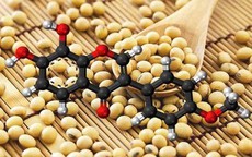 Isoflavone và hành trình trở thành lựa chọn của hàng triệu phụ nữ trong chăm sóc nội tiết tố