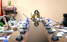 Tăng cường thực thi hiệu quả Công ước quốc tế về quyền người khuyết tật