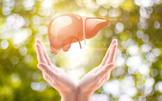 10 loại thực phẩm tốt nhất cho gan khỏe mạnh