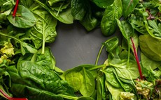 4 loại rau nên ăn nhiều hơn để hỗ trợ gan khỏe mạnh