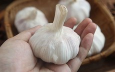 Ăn tỏi mỗi ngày có lợi gì cho tim mạch?